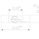 PROTECTRON FAST BLOW GLASS FUSE 10A