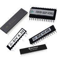 Microcontroler ic