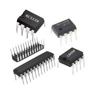 DIP IC